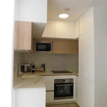 公寓 Modern And Cosy Close To The 托雷维耶哈