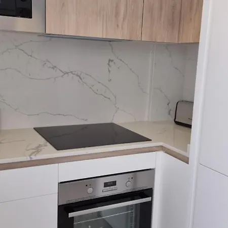 Modern And Cosy Close To The * 托雷维耶哈